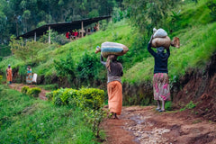 Wide Awake: Superfreak Burundi (250g) – Omni Roast - JFF Coffee Co