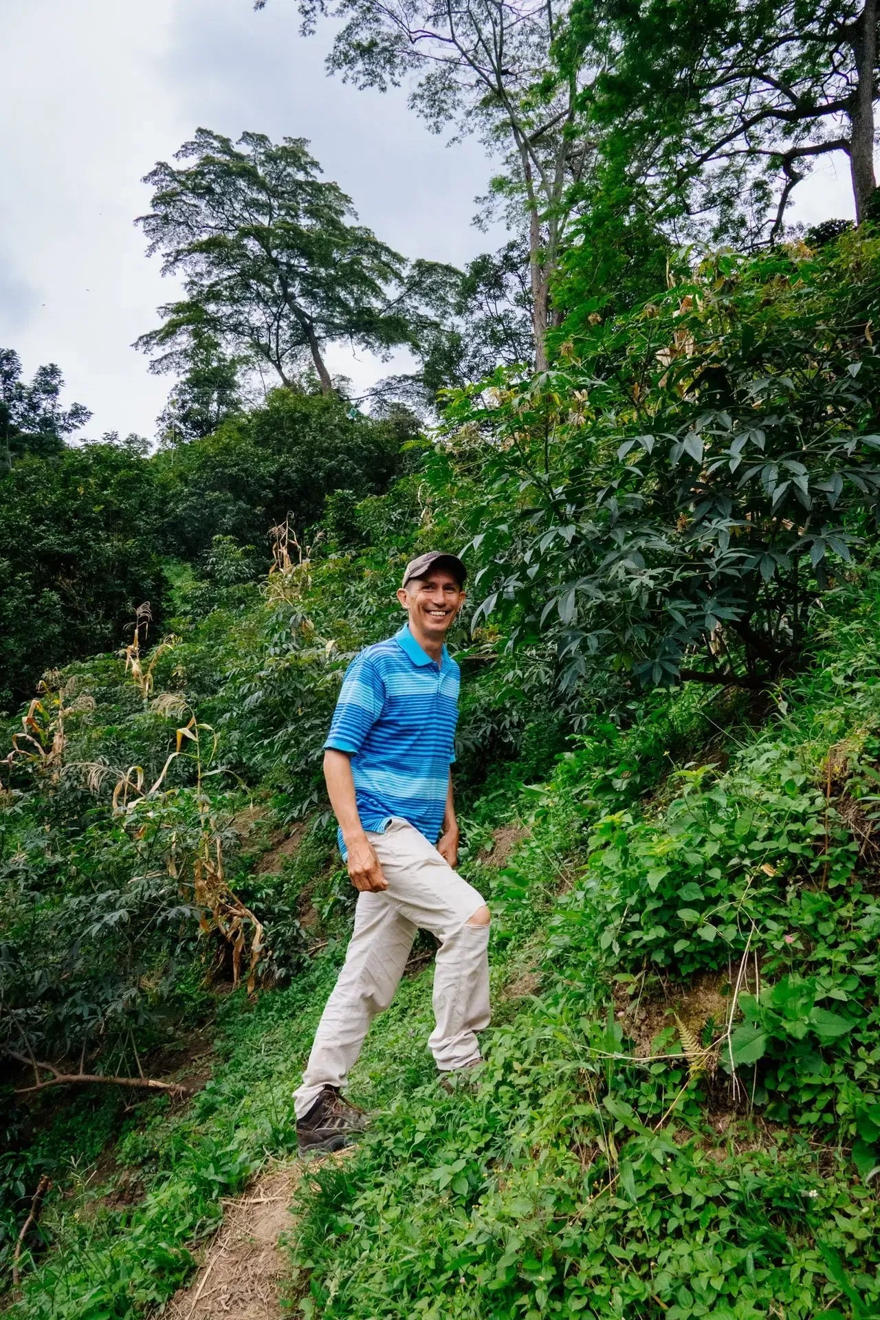 Wide Awake: Moon Safari Colombia (250g) – Omni Roast - JFF Coffee Co